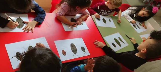 Montessori nedir