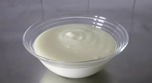 probiyotikli yiyecek yap