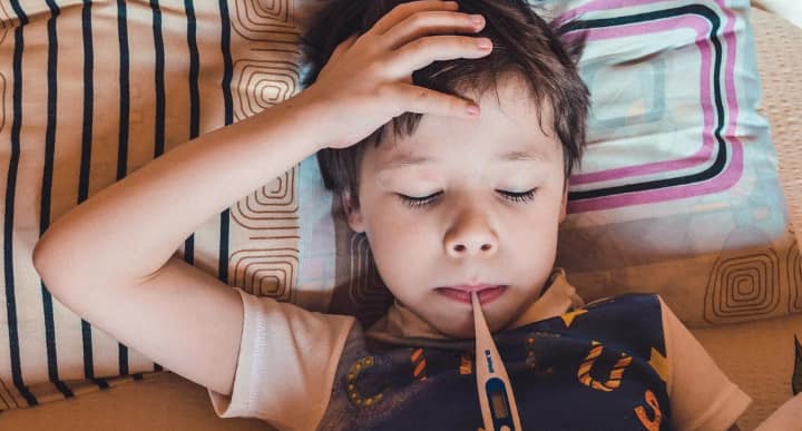 minikler için kış gıdaları