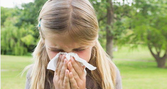 hapşıran çocuk polen alerjisi